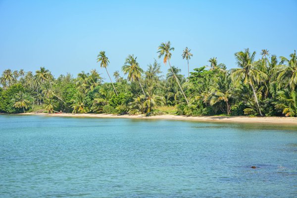 Comment planifier une visite des monastères bouddhistes du Ladakh, Inde?